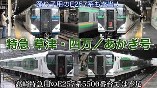 【青いE257系も高崎線の特急に充当】高崎線の特急列車がE257系になりました。