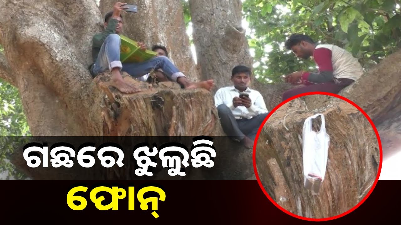 ଫାଇଭ୍‌-ଜି ର କଥା କୁହାଯାଉଛି ହେଲେ ଦୁର୍ଗମ ଅଞ୍ଚଳରେ ନେଟଓ୍ଵାର୍କ ଖୋଜୁଛନ୍ତି ଲୋକେ || Knews Odisha
