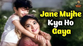 Download Lagu Jane Mujhe Kya Ho Gaya | Lata Mangeshkar | Vyjayanthimala | Phoolon Ki Sej | Video Song MP3 Download Lagu Jane Mujhe Kya Ho Gaya | Lata Mangeshkar | Vyjayanthimala | Phoolon Ki Sej | Video Song MP3