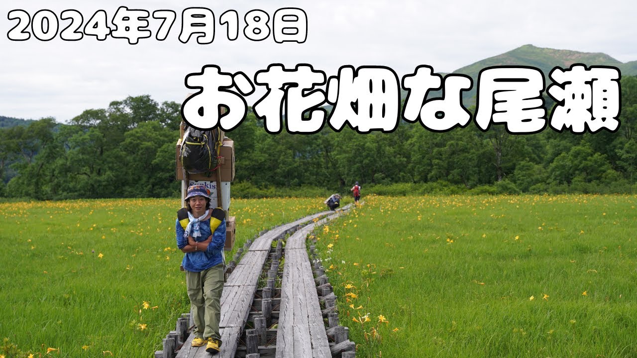 尾瀬歩荷】お花畑な尾瀬国立公園 - YouTube