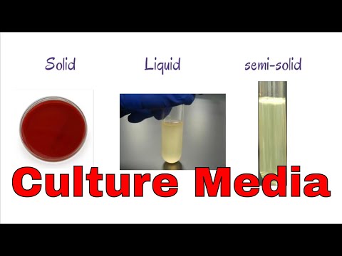 what is Culture media || different classification of culture media || Microbiology