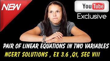 Ncert Solutions For class 10 maths ,Linear Equations in two variable ,Ex 3.6 ,Q1 sec VIII