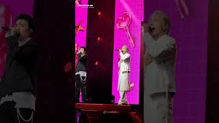 Fancam No Love No Life - S.t Sơn Thạch & Will 365 Zcity - Fanshow 250712