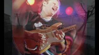 Video thumbnail of "WALTER TROUT BAND - Girl From The North Country"