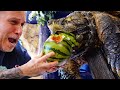 ALLIGATOR SNAPPING TURTLE vs WATERMELON!! YOU WON'T BELIEVE THIS!! | BRIAN BARCZYK