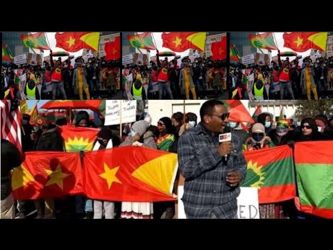 Hirrir Mottuman Bilxiginana Balalaeftaa Guyaa Haraa America Kesattii Bahamee Jiraa 30 November 2021