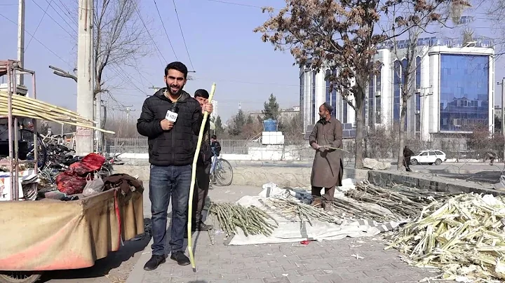 Jalalabad's sugarcane wholesaler in 4th Macroryan /