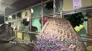 International Student Day in the Life & Campus Tour | University of Surrey