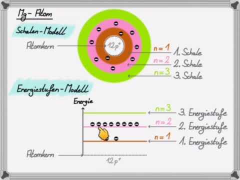 Fotosynthese: Energiemodell Lichtreaktion