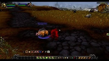 Commanding pet with the voice - WOW custom content - private server
