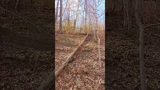 TRAIL WALK
