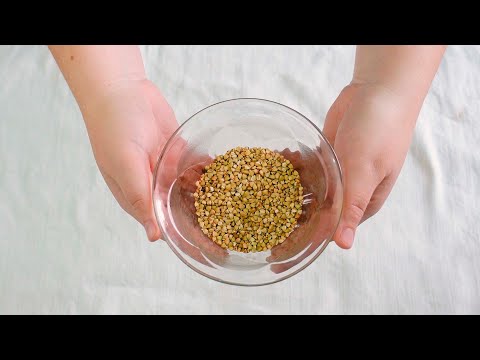 Video: ¿Se puede comer trigo sarraceno crudo?