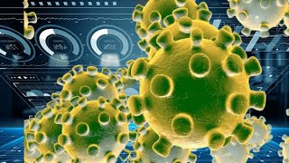 The most informative Coronavirus data visualization on the internet. Updated on 2020-02-24