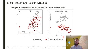 Contrastive PCA: Overview