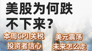 要挣钱买美股系列|降息预期 鼓舞投资者信心|无视通胀 关税|第四季度高歌
