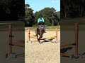 Totally targeted. #summer #horse #volleyball #equestrian #lifeisbutadream #horsegirl
