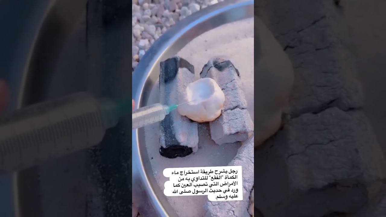 طريقة استخراج ماء الكمأة الفقاع لعلاج أمراض العين الشيخ محمد صالح العثيمين رحمه الله