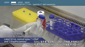 ExpiCHO™ Expression System expression protocol - 한국어