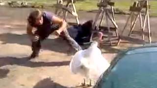 Trutv Presents Worlds Dumbest - Preview - Worlds Dumbest Partiers 18