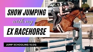 TRAINING MY OTTB SHOW JUMPER