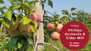Visiting Phillips Orchards & Cider Mill | St. Johns Michigan | Apple Orchard