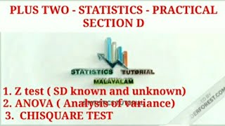 Celebrity PLUS TWO - STATISTICS - PRACTICAL - SECTION D Net Worth
