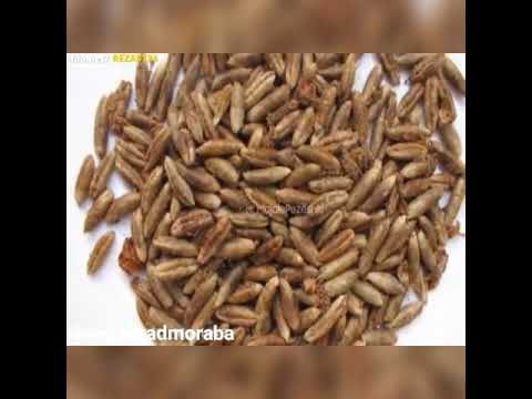 بهترین معجزه برای بازکردن عروق وسلامت قلب