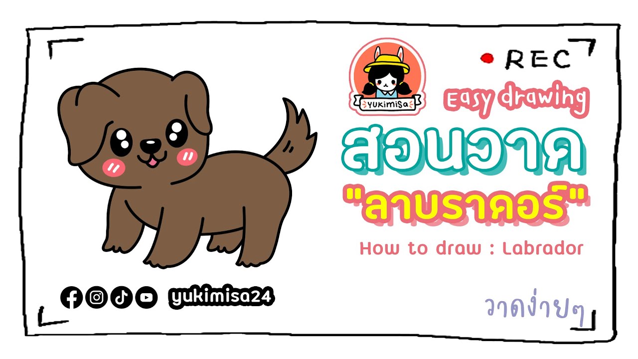 Labrakita Drawing สอนวาดภาพระบายสี : ลาบราดอร์ l How to draw and paint : Labrador l by ...