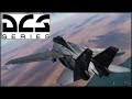 DCS - NTTR - F-14B - Online play - Check Point Blitz