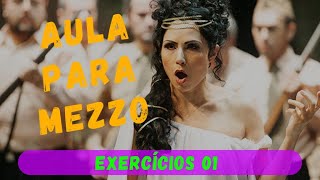 Aula para Mezzo - EXERCÍCIOS 01