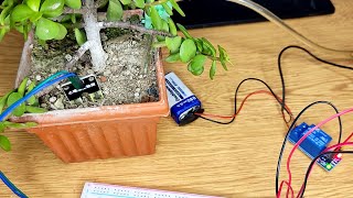 Automatic Plant Watering System Using Arduino Uno || YL 69 Soil Hygrometer & 5v 1 Channel Relay