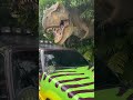 Jurassic Park at Universal Studios Orlando #dinosaur #trex