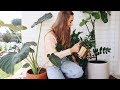 WATERING DAY & THRIFT HAUL // VLOG