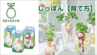 四葉のクローバーのガーデンさん専用 Shippon イヌ(クローバー) - SEISHIN PLUS
