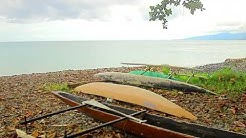 Kuri Pasai - Ampi Nabire | Lagu Daerah Papua  - Durasi: 3:55. 