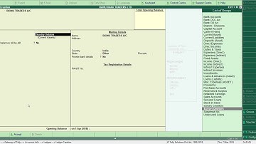 How to create ledgers in TALLY ERP 9(English)