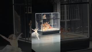 «Пиковая дама» Георгий Гусев, Владислав Лантратов #dance #bolshoiballet #ballet