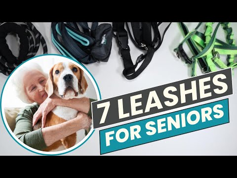 7 Leashes for Seniors: Comfort and Control for Aging Dog Owners