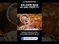 저화질 영상도 선명하게 📺✨4K UHD TV