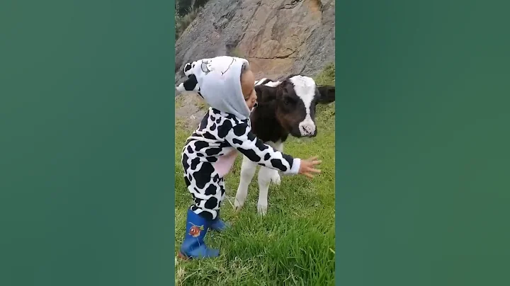 Little Girl Sings To Baby Calf || ViralHog - DayDayNews