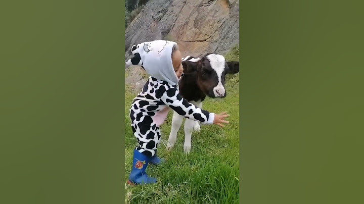 Little Girl Sings To Baby Calf || ViralHog