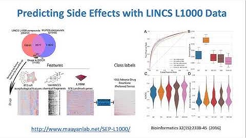 Mount Sinai Biophysics Course Lecture - Part 4