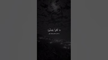 القارئ عبدالرحمن مسعد #سورة_النحل