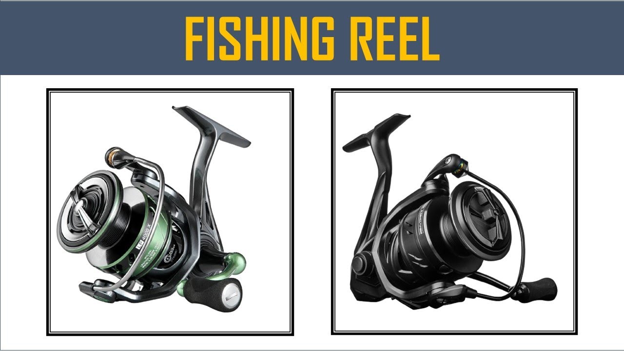 Best Fishing Reel in 2025 - Top 10 Best Fishing Reel 2025 - YouTube