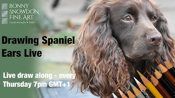 Live Drawing Workshop | Spaniel | Ear in Coloured Pencil | Part 3