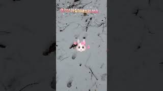 태기산 700  청정지역태기산 아침의새소리 (식당+펜션)#송어회 #페키지예약 #숙박_식사#동시가능 #단체숙박 #단체식사문의 : 010-5287-1917