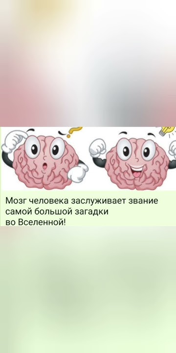 фитнес для мозга для детей и взрослых #развитиедетей #логопед - YouTube