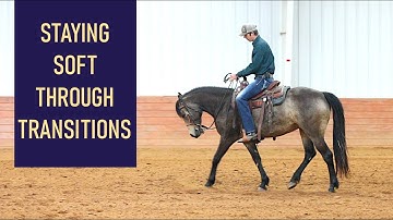 Upward Transitions - Helping a horse that raises it