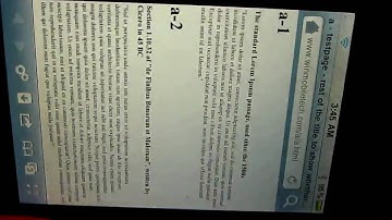 iPhone Web browser multitab demo: VanillaSurf