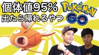 ポケモンgo 今夜決着 個体値95 以上のコイキングを求めて 帰れま1 Youtube